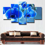 5Pcs Home Decor Canvas Print Painting Wall Art Beautiful Moth orchid