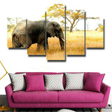 5Pcs Elephant Canvas Print Painting Wall Art Home Decor
