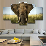 5Pcs Home Decor Canvas Print Painting Wall Art Elephant