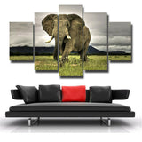5Pcs Beautiful Africa elephant Canvas Print Painting Wall Art Home Decor