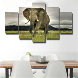 5Pcs Beautiful Africa elephant Canvas Print Painting Wall Art Home Decor