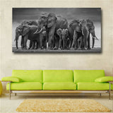 Posters and Prints Wall Art Canvas Painting African Elephant Herd Pictures