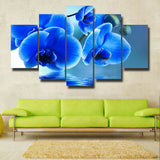 5Pcs Home Decor Canvas Print Painting Wall Art Beautiful Moth orchid