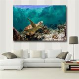 Large art prints Home Decor Canvas Painting Wall Art Beautiful sea turtle