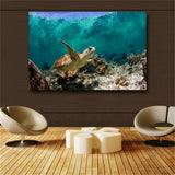 Large art prints Home Decor Canvas Painting Wall Art Beautiful sea turtle
