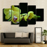 5Pcs Beautiful flowers Canvas Print Painting Wall Art Home Decor