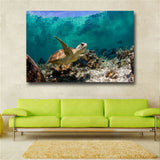 Large art prints Home Decor Canvas Painting Wall Art Beautiful sea turtle