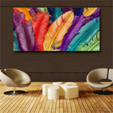 Canvas Art Still life Colorful Feathers Wall Pictures For Living Room Modern Art