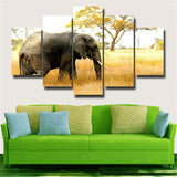 5Pcs Elephant Canvas Print Painting Wall Art Home Decor