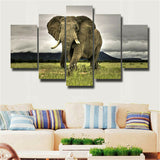5Pcs Beautiful Africa elephant Canvas Print Painting Wall Art Home Decor