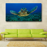 Blue 1 Piece Wall Art Painting Turtle Looking Swim in The Sea Prints On Canvas