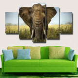 5Pcs Home Decor Canvas Print Painting Wall Art Elephant