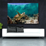Large art prints Home Decor Canvas Painting Wall Art Beautiful sea turtle