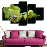 5Pcs Beautiful flowers Canvas Print Painting Wall Art Home Decor