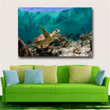 Large art prints Home Decor Canvas Painting Wall Art Beautiful sea turtle