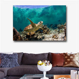 Large art prints Home Decor Canvas Painting Wall Art Beautiful sea turtle