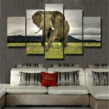 5Pcs Beautiful Africa elephant Canvas Print Painting Wall Art Home Decor