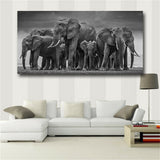 Posters and Prints Wall Art Canvas Painting African Elephant Herd Pictures