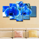 5Pcs Home Decor Canvas Print Painting Wall Art Beautiful Moth orchid