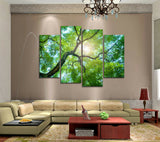 MODERN HOME WALL ART OIL PAINTING ON CANVAS THEME - SCENERY 4P Unframed #041