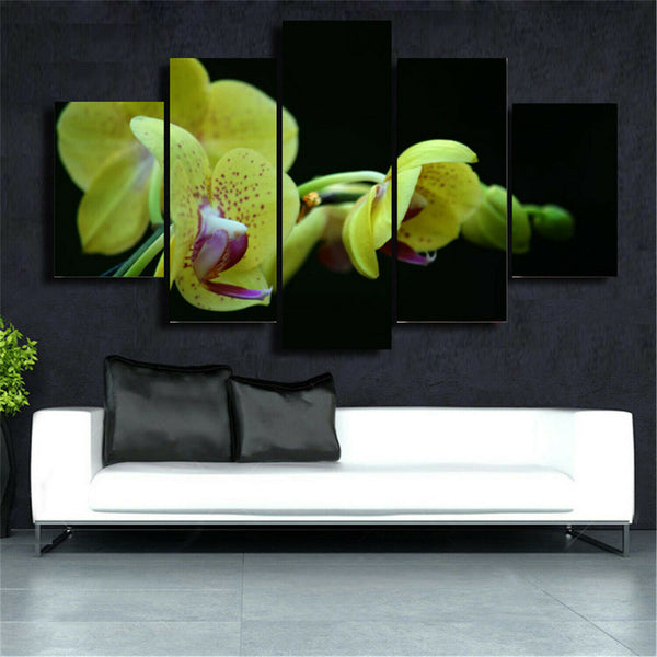 5Pcs Beautiful flowers Canvas Print Painting Wall Art Home Decor