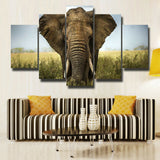 5Pcs Home Decor Canvas Print Painting Wall Art Elephant
