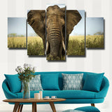 5Pcs Home Decor Canvas Print Painting Wall Art Elephant