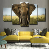 5Pcs Home Decor Canvas Print Painting Wall Art Elephant