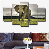 5Pcs Beautiful Africa elephant Canvas Print Painting Wall Art Home Decor