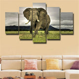 5Pcs Beautiful Africa elephant Canvas Print Painting Wall Art Home Decor