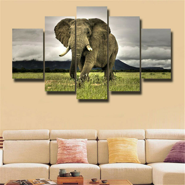5Pcs Beautiful Africa elephant Canvas Print Painting Wall Art Home Decor
