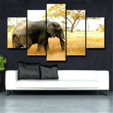 5Pcs Elephant Canvas Print Painting Wall Art Home Decor